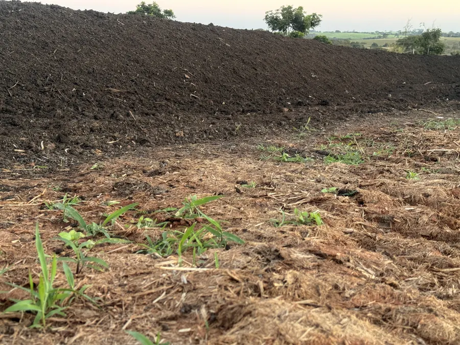 Produção da Terra Vegetal Aurora: leiras de composto orgânico em processo de compostagem